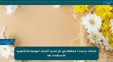 خدمات جديدة لـ محفظة وي تم تحديد الحدود اليومية والشهرية للاستفادة بها